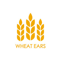 Wheat ears or rice icon. Crop, barley or rye symbol isolated on white background. Design element for beer label or bread packaging. Vector illustration.