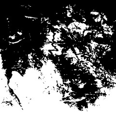 Obraz premium white paint. black stain. grunge texture. vector background