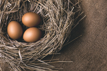 chicken eggs in nest on wooden tabletop, rustic background