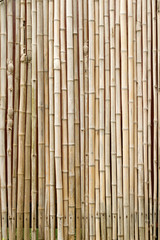Bamboo background texture in a vertical format