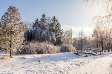 Winter landscape of frosty trees, white snow and blue sky
