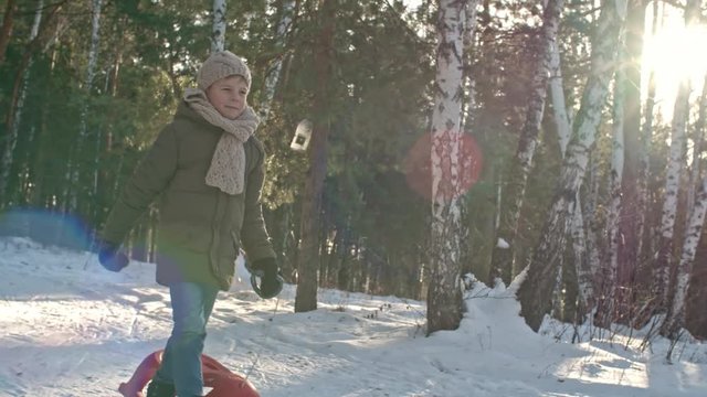Boy walking through forest at sunny winter day and pulling sled on snow