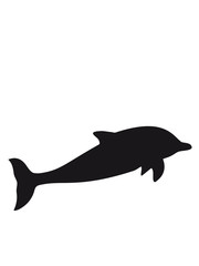 Black silhouette outline delfin jumping cute cute © Style-o-Mat-Design