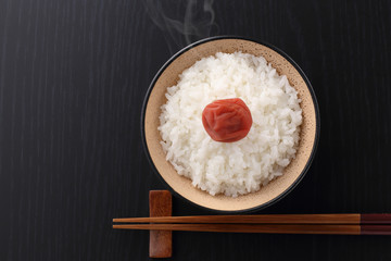 ごはんと梅干し