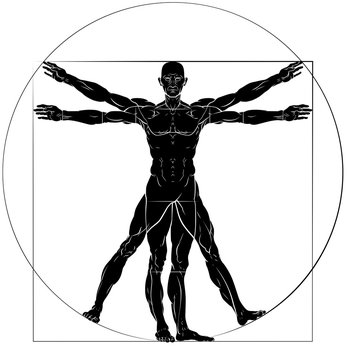 Vitruvian Man Da Vinci Style Figure