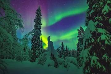 Türaufkleber Nordlichter Nordlichter über Lappland