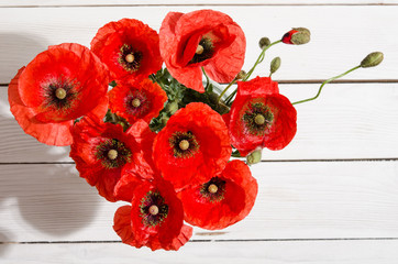 Bouquet of red poppies in glass vase