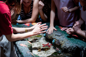 Kids playing with fishes in aquarium