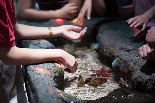 Kids Playing With Fishes In Aquarium