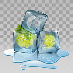 Ice cube with grape. Vector illustration