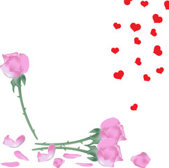 Pink roses flowers with fallen petals and rain of red hearts vector isolated on white background vector, eps 10