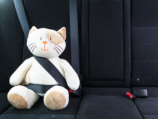 Plush toy cat fastened with seatbelt in the back seat of a car, safety on the road. Protection...