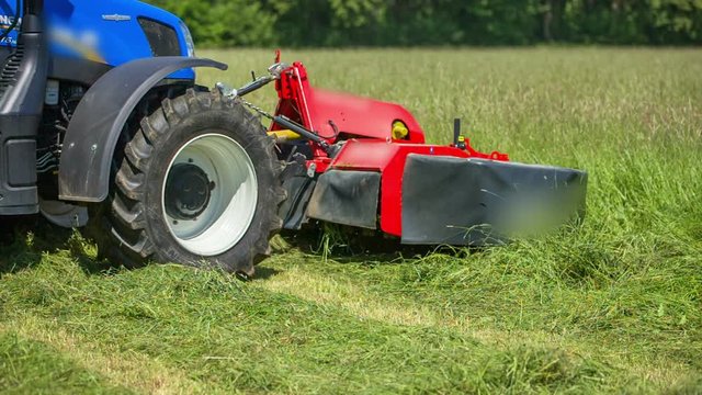 A blue tractor is approaching the part of the lawn with a high grass and it begins cutting it with the grass cutting machinery.
