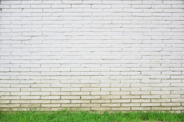 White wall with some green grass background. Empty copy space for Editor's text.