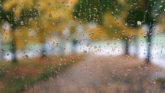 Texture windshield of the car window covered with rain drops falling on the yellow leaves of autumn trees in the park. Dripping large drops of rain on the windshield of the car