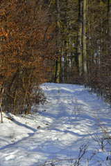 Fototapeta na wymiar snow-covered road
