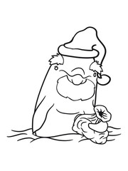Santa claus santa claus christmas cap sack old beard winter water dolphin swim cute cute