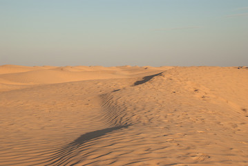 Dunes of sand in the desert