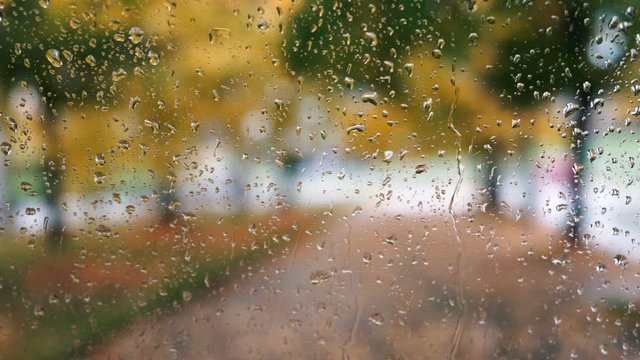 Texture windshield of the car window covered with rain drops falling on the yellow leaves of autumn trees in the park. Dripping large drops of rain on the windshield of the car