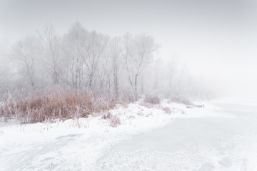 Frozen lake coast. Winter foggy landscape.
