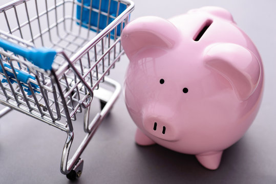 Close-up Of Piggy Bank And An Empty Shopping Cart