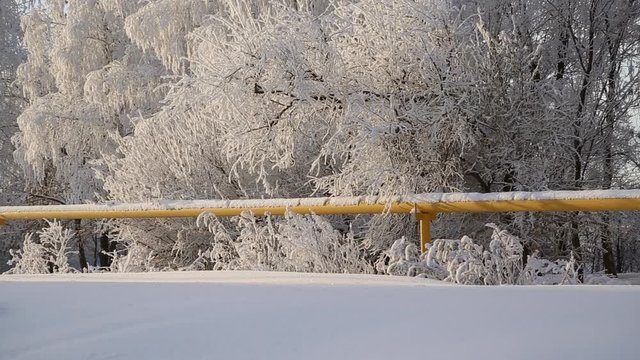 A gas pipe in a snowy forest, beautiful frost on the trees
