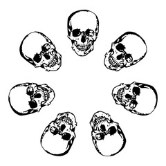 skull
