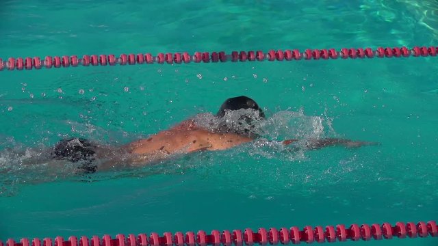 Swimmer Performs Front Crawl