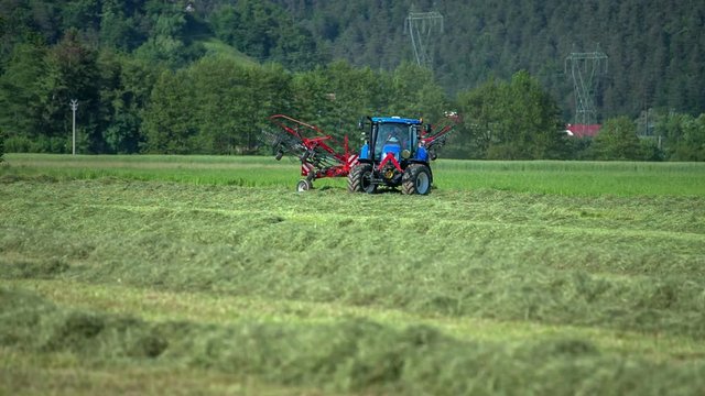 We can see a big blue tractor and a red machinery connected to it. A young farmer is preparing hay on this hot summer day.
