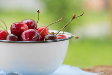 Kirschen aus dem Garten