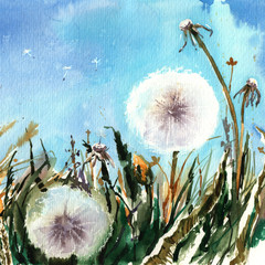 handwork watercolor landscape with dandelions - 133896570