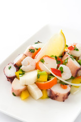 Traditional seafood ceviche from Peru isolated
