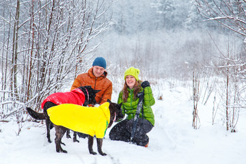 Activefamily walk the dog in the winter forest.