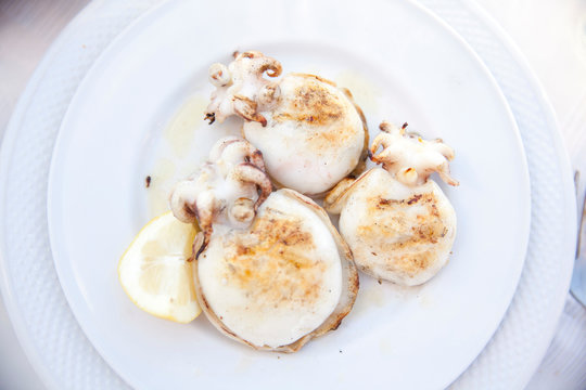 Plate of grilled cuttle fish