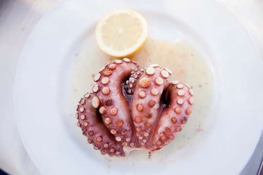 Plate of grilled octopus