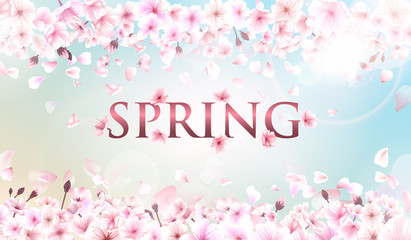 Naklejka na ściany i meble Blooming cherry. Spring background. Falling sakura pink petals. EPS 10 vector