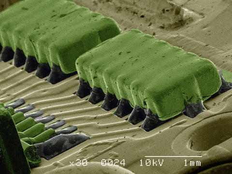 Part of cell phone