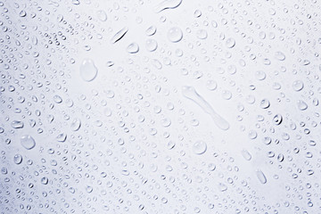 Water Drops./ Water Drops.