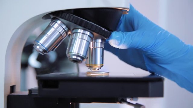laboratory studies using microscope
