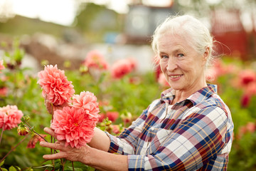 senior woman with flowers at summer garden