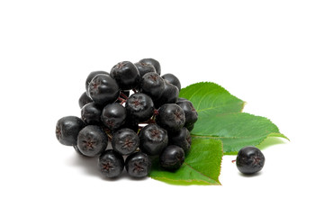 bunch of ripe berries chokeberry on a white background