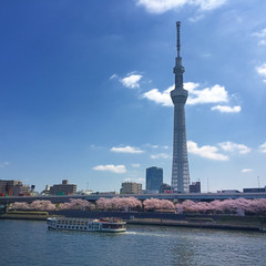 春の東京