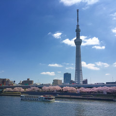 Obraz premium 春の東京