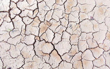 top view soil cracked texture