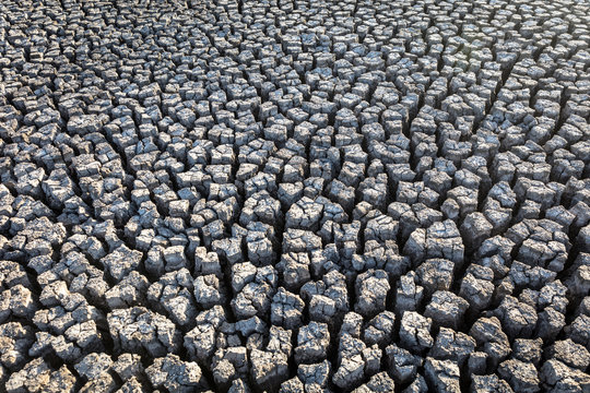 Cracked mud, Ceara, Brazil