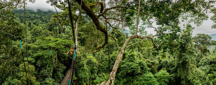 Treetop Trekking, Ban Nongluang National Park, Champassak Province, Paksong, Laos