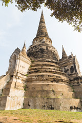 Fototapeta premium Wat Phra Si Sanphet temple in Ayutthaya
