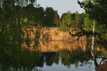 autum forest