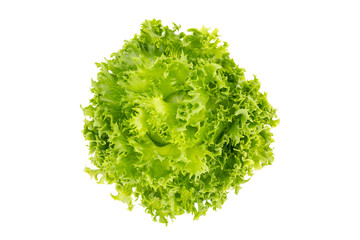 Top view of Salad leaves, Frillice Iceberg