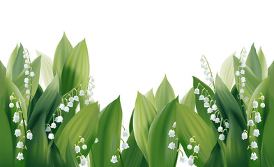 Convallaria majalis - Lilly of the valley.
Hand drawn vector illustration of white spring flowers and lush foliage on white background.
- 133904154